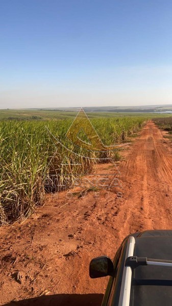 Aliança Imóveis - Imobiliária em Ribeirão Preto - SP - Fazenda  - Zona Rural - Bariri