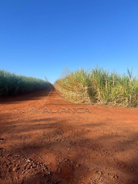 Aliança Imóveis - Imobiliária em Ribeirão Preto - SP - Fazenda  - Zona Rural - Bariri