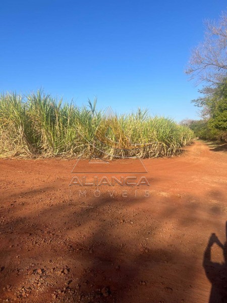 Aliança Imóveis - Imobiliária em Ribeirão Preto - SP - Fazenda  - Zona Rural - Bariri