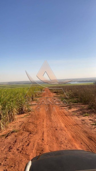 Aliança Imóveis - Imobiliária em Ribeirão Preto - SP - Fazenda  - Zona Rural - Bariri