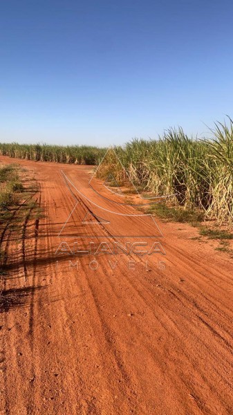 Aliança Imóveis - Imobiliária em Ribeirão Preto - SP - Fazenda  - Zona Rural - Bariri