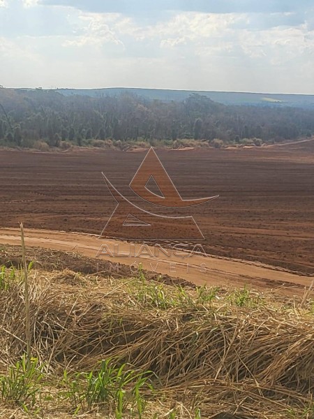Aliança Imóveis - Imobiliária em Ribeirão Preto - SP - Fazenda  - Zona Rural - São Carlos