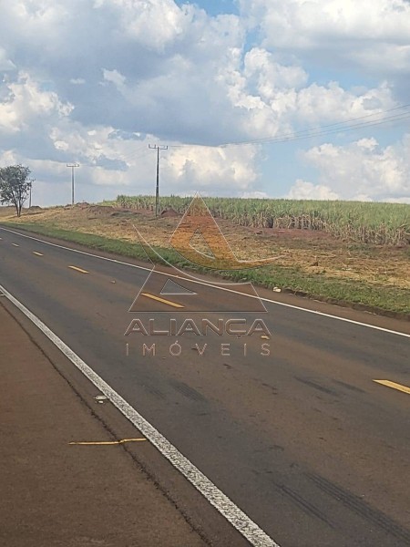 Aliança Imóveis - Imobiliária em Ribeirão Preto - SP - Fazenda  - Zona Rural - São Carlos