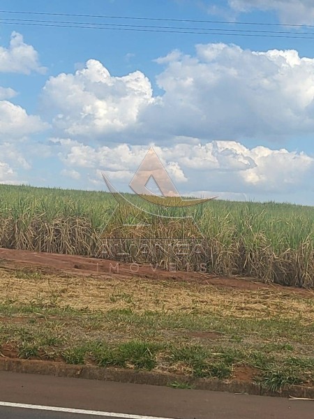 Aliança Imóveis - Imobiliária em Ribeirão Preto - SP - Fazenda  - Zona Rural - São Carlos