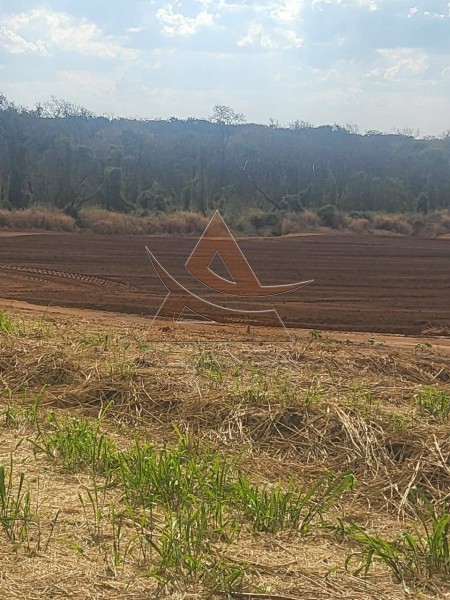 Aliança Imóveis - Imobiliária em Ribeirão Preto - SP - Fazenda  - Zona Rural - São Carlos