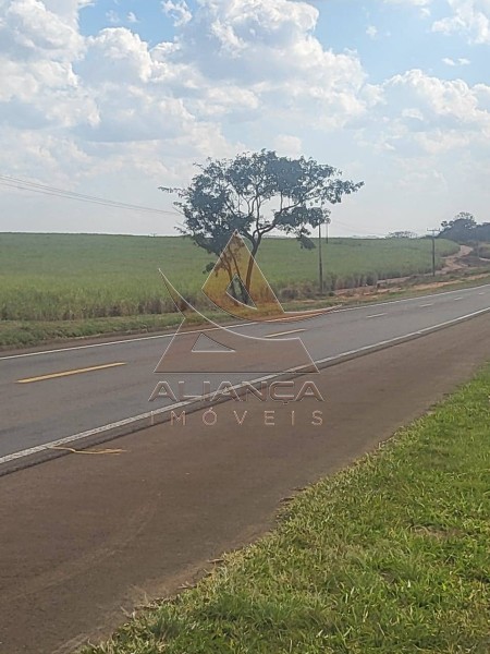 Aliança Imóveis - Imobiliária em Ribeirão Preto - SP - Fazenda  - Zona Rural - São Carlos