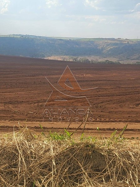 Aliança Imóveis - Imobiliária em Ribeirão Preto - SP - Fazenda  - Zona Rural - São Carlos
