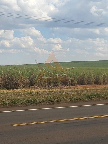 Aliança Imóveis - Imobiliária em Ribeirão Preto - SP - Fazenda  - Zona Rural - São Carlos