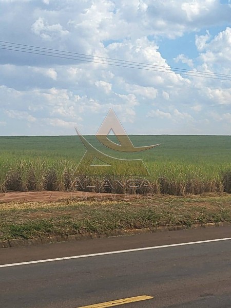 Aliança Imóveis - Imobiliária em Ribeirão Preto - SP - Fazenda  - Zona Rural - São Carlos