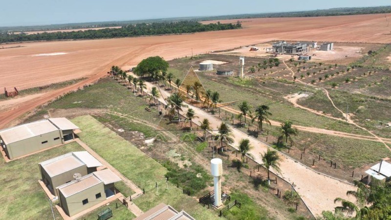 Aliança Imóveis - Imobiliária em Ribeirão Preto - SP - Fazenda  - Zona Rural - Miranorte