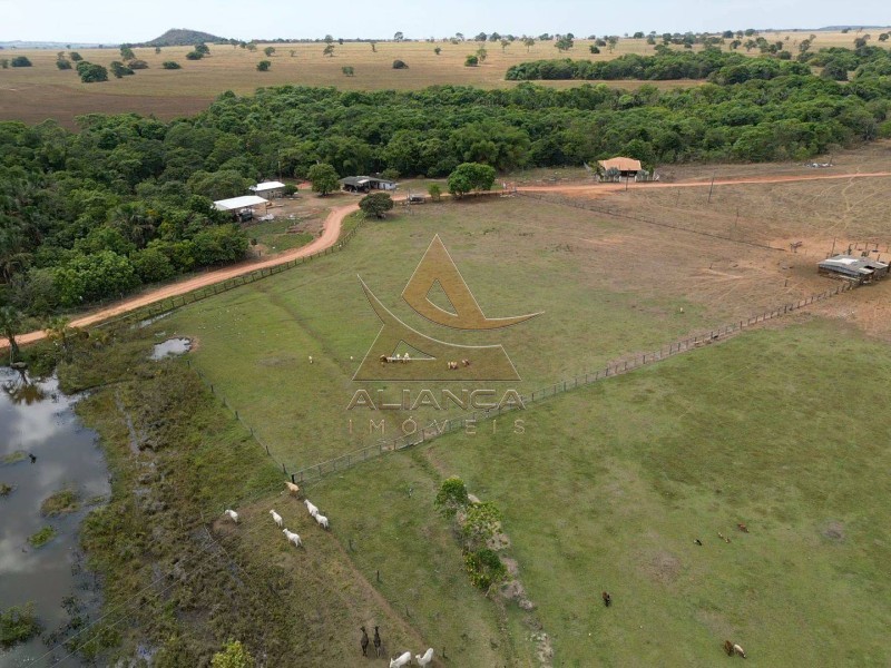 Fazenda, 1471 hectares - Foto 9