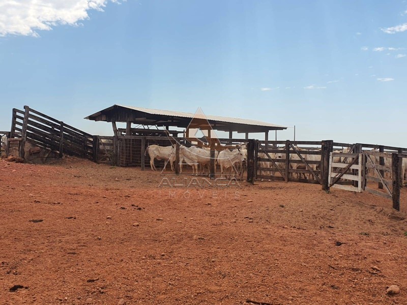 Fazenda, 1471 hectares - Foto 6
