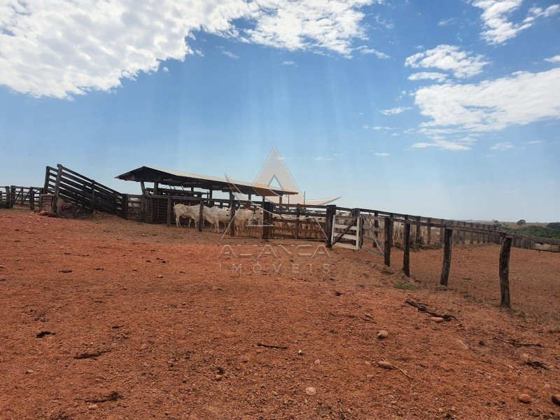 Fazenda, 1471 hectares - Foto 12