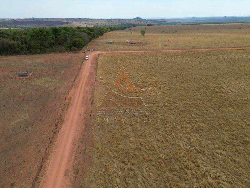 Fazenda, 1471 hectares - Foto 8