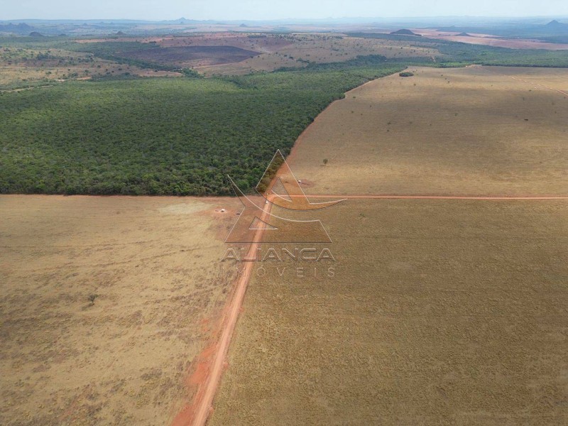 Fazenda, 1471 hectares - Foto 5