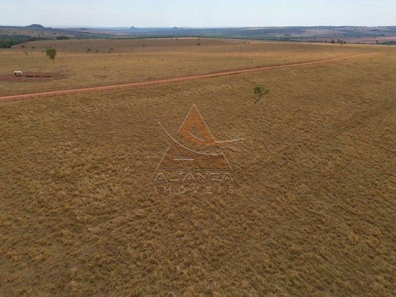 Fazenda, 1471 hectares - Foto 11