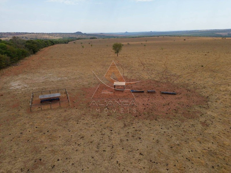 Fazenda, 1471 hectares - Foto 7