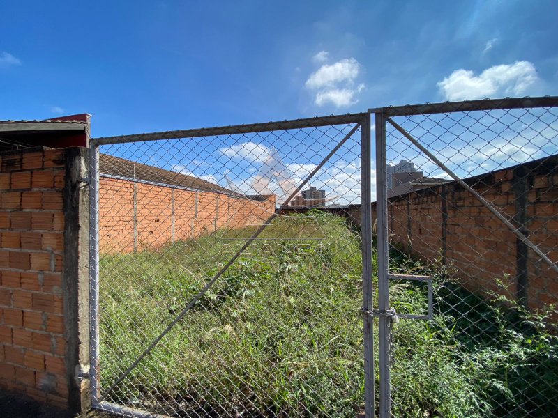 Aliança Imóveis - Imobiliária em Ribeirão Preto - SP - Terreno - Alto da Boa Vista - Ribeirão Preto