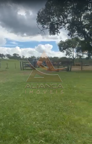 Aliança Imóveis - Imobiliária em Ribeirão Preto - SP - Fazenda  - Zona Rural - Patos de Minas