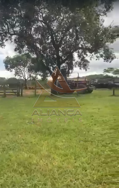 Aliança Imóveis - Imobiliária em Ribeirão Preto - SP - Fazenda  - Zona Rural - Patos de Minas