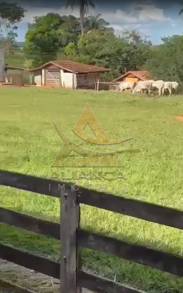 Aliança Imóveis - Imobiliária em Ribeirão Preto - SP - Fazenda  - Zona Rural - Patos de Minas