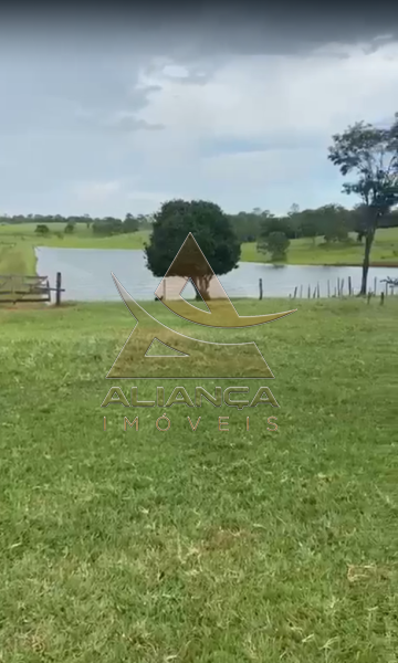 Aliança Imóveis - Imobiliária em Ribeirão Preto - SP - Fazenda  - Zona Rural - Patos de Minas