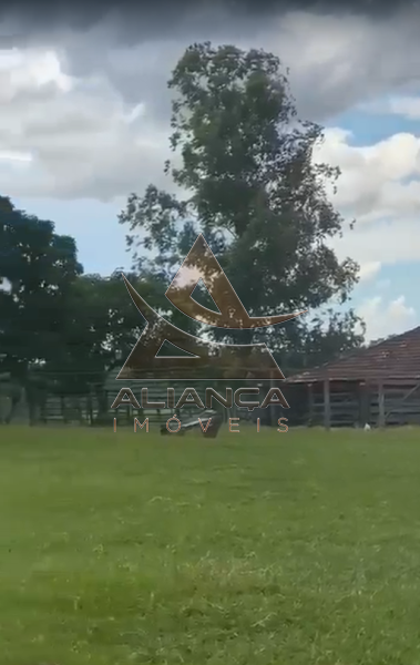 Aliança Imóveis - Imobiliária em Ribeirão Preto - SP - Fazenda  - Zona Rural - Patos de Minas
