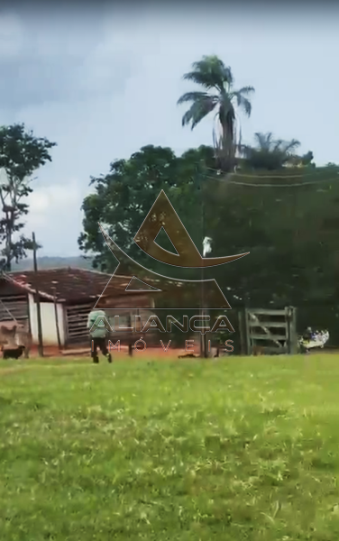 Aliança Imóveis - Imobiliária em Ribeirão Preto - SP - Fazenda  - Zona Rural - Patos de Minas