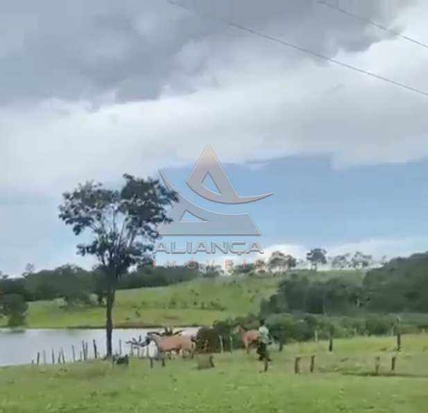 Aliança Imóveis - Imobiliária em Ribeirão Preto - SP - Fazenda  - Zona Rural - Patos de Minas