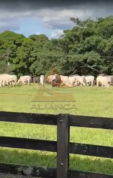 Aliança Imóveis - Imobiliária em Ribeirão Preto - SP - Fazenda  - Zona Rural - Patos de Minas