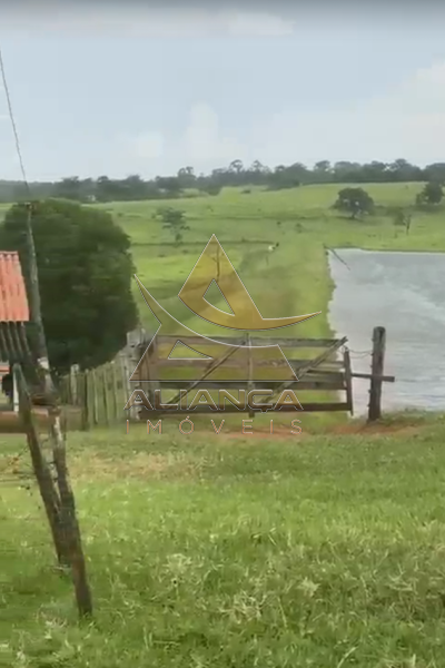 Aliança Imóveis - Imobiliária em Ribeirão Preto - SP - Fazenda  - Zona Rural - Patos de Minas
