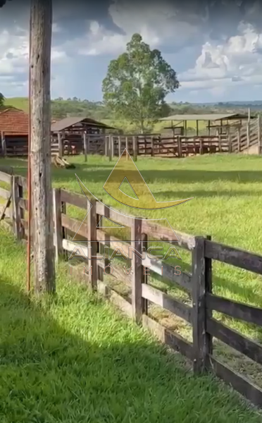 Aliança Imóveis - Imobiliária em Ribeirão Preto - SP - Fazenda  - Zona Rural - Patos de Minas