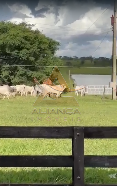 Aliança Imóveis - Imobiliária em Ribeirão Preto - SP - Fazenda  - Zona Rural - Patos de Minas