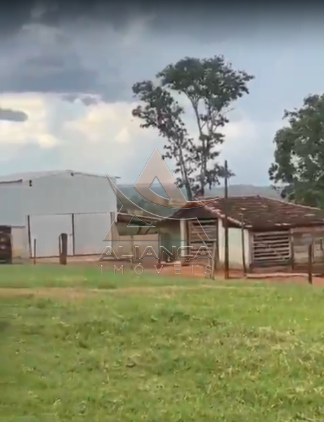 Aliança Imóveis - Imobiliária em Ribeirão Preto - SP - Fazenda  - Zona Rural - Patos de Minas