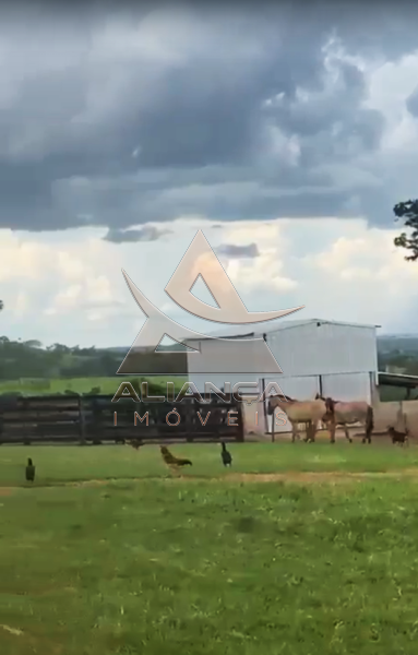 Aliança Imóveis - Imobiliária em Ribeirão Preto - SP - Fazenda  - Zona Rural - Patos de Minas