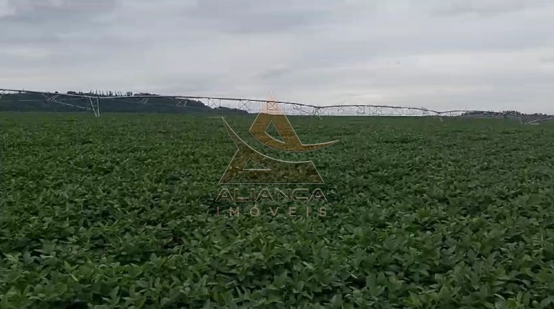 Fazenda  - Zona Rural - Casa Branca