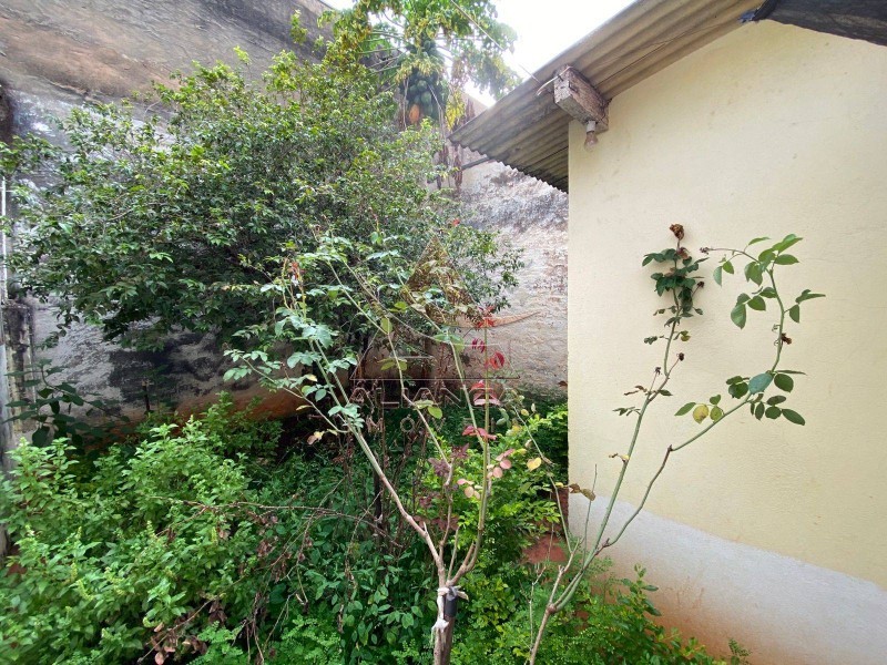 Aliança Imóveis - Imobiliária em Ribeirão Preto - SP - Casa - Campos Eliseos - Ribeirão Preto