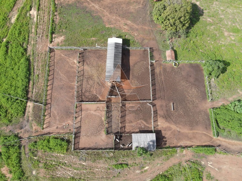 Aliança Imóveis - Imobiliária em Ribeirão Preto - SP - Fazenda  - Zona Rural - Peixe