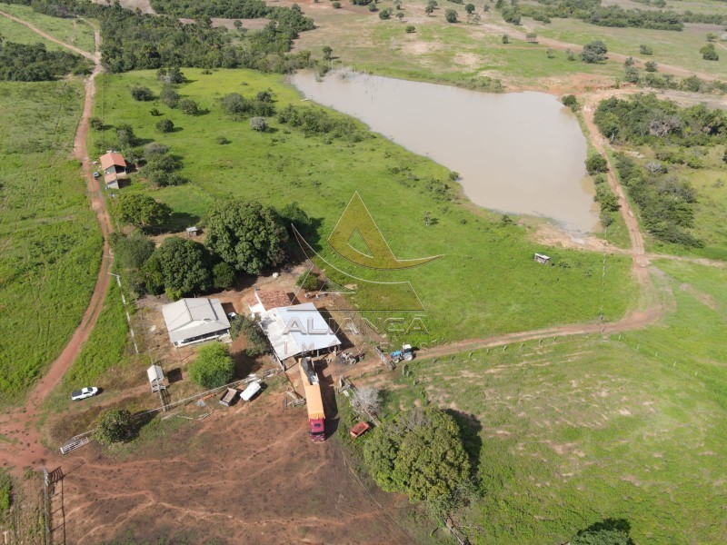 Aliança Imóveis - Imobiliária em Ribeirão Preto - SP - Fazenda  - Zona Rural - Peixe