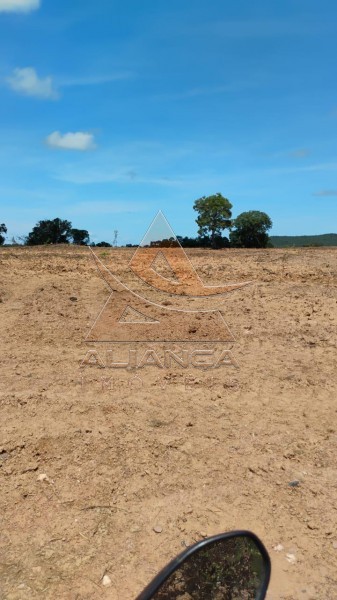 Aliança Imóveis - Imobiliária em Ribeirão Preto - SP - Fazenda  - Zona Rural - Peixe