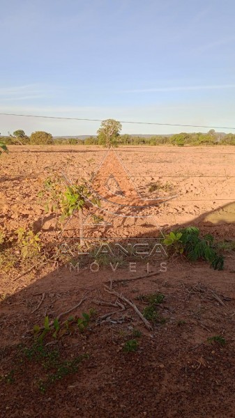 Aliança Imóveis - Imobiliária em Ribeirão Preto - SP - Fazenda  - Zona Rural - Peixe