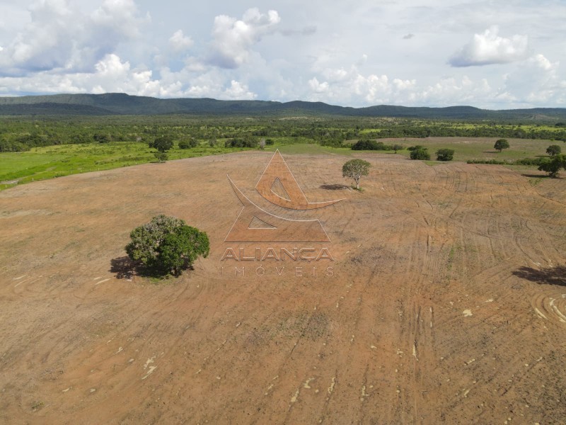 Aliança Imóveis - Imobiliária em Ribeirão Preto - SP - Fazenda  - Zona Rural - Peixe