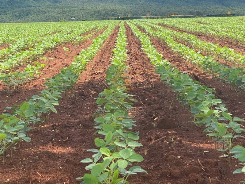 Aliança Imóveis - Imobiliária em Ribeirão Preto - SP - Fazenda  - Zona Rural - Niquelândia
