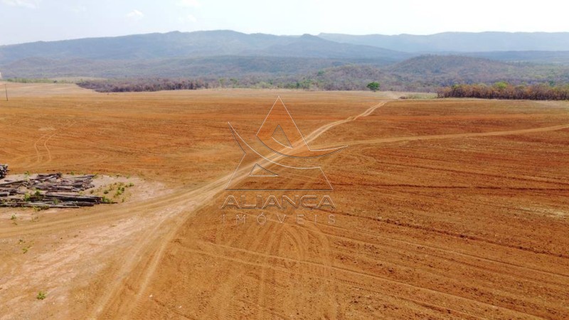 Aliança Imóveis - Imobiliária em Ribeirão Preto - SP - Fazenda  - Zona Rural - Niquelândia