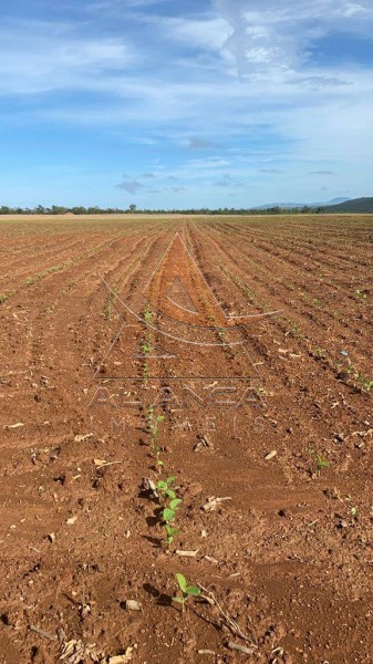 Aliança Imóveis - Imobiliária em Ribeirão Preto - SP - Fazenda  - Zona Rural - Niquelândia