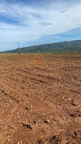 Aliança Imóveis - Imobiliária em Ribeirão Preto - SP - Fazenda  - Zona Rural - Niquelândia