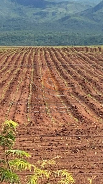 Aliança Imóveis - Imobiliária em Ribeirão Preto - SP - Fazenda  - Zona Rural - Niquelândia