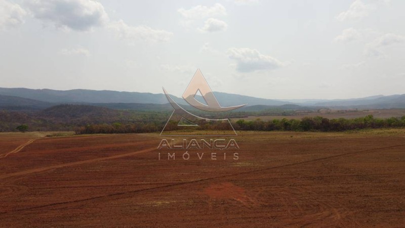Aliança Imóveis - Imobiliária em Ribeirão Preto - SP - Fazenda  - Zona Rural - Niquelândia