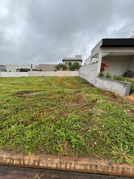 Aliança Imóveis - Imobiliária em Ribeirão Preto - SP - Terreno Condomínio - Portal da Mata - Ribeirão Preto