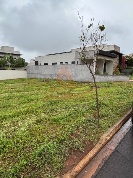 Aliança Imóveis - Imobiliária em Ribeirão Preto - SP - Terreno Condomínio - Portal da Mata - Ribeirão Preto